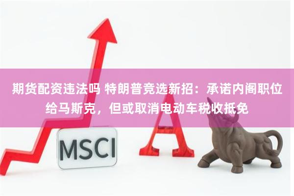 期货配资违法吗 特朗普竞选新招：承诺内阁职位给马斯克，但或取消电动车税收抵免