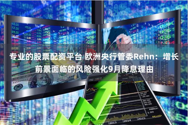 专业的股票配资平台 欧洲央行管委Rehn：增长前景面临的风险强化9月降息理由