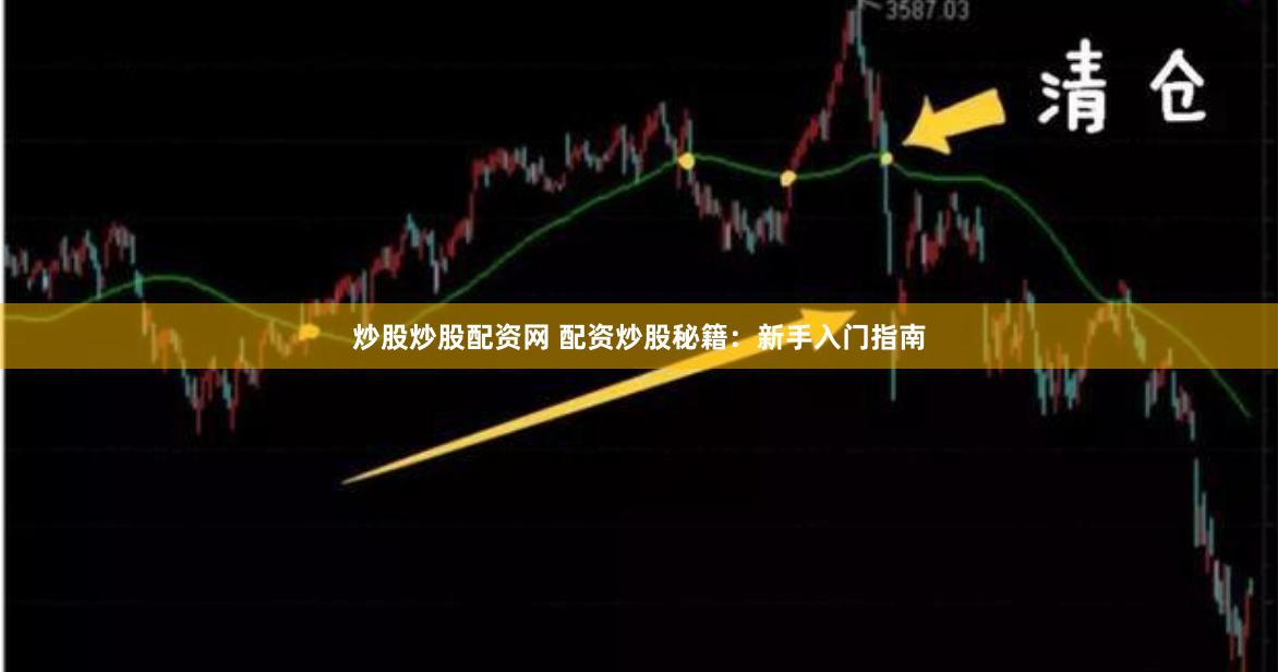 炒股炒股配资网 配资炒股秘籍：新手入门指南