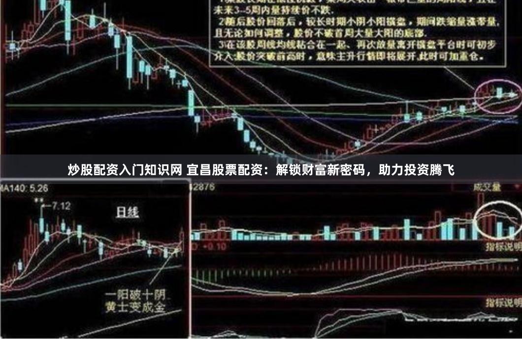 炒股配资入门知识网 宜昌股票配资：解锁财富新密码，助力投资腾飞